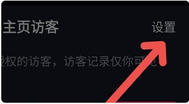 抖音訪客記錄30天后會消失嗎-抖音訪客記錄怎么沒有了